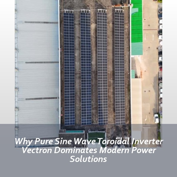 Why Pure Sine Wave Toroidal Inverter Vectron Dominates Modern Power Solutions